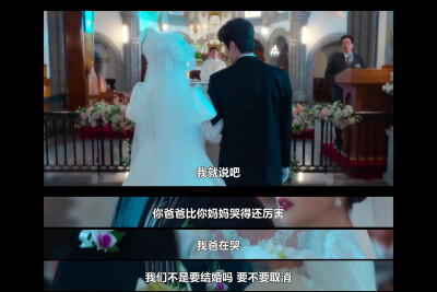 苦尽柑来遇见你