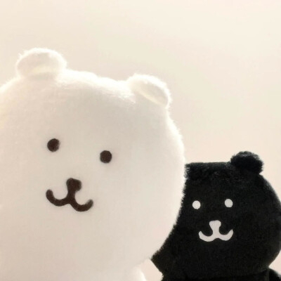 自嘲熊玩偶双人头像