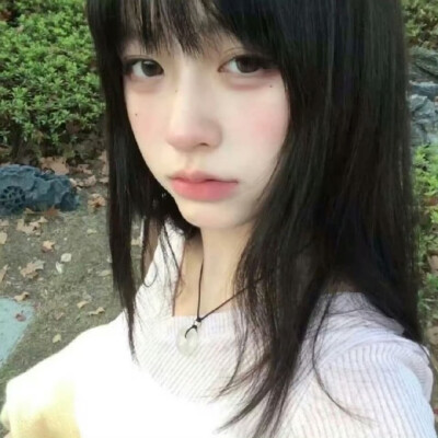 套图