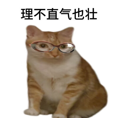 猫咪表情包