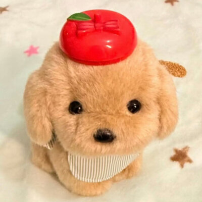 修狗