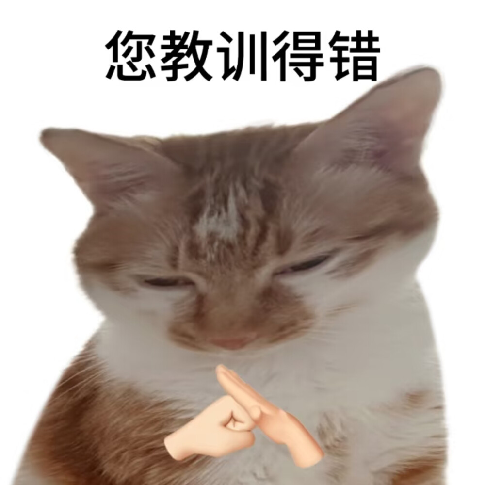 猫咪表情包