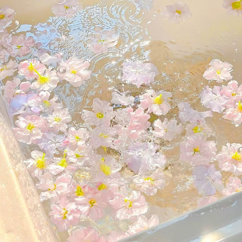 朋友圈/ins/空间背景潮图
二传注明堆糖诗梦瑶