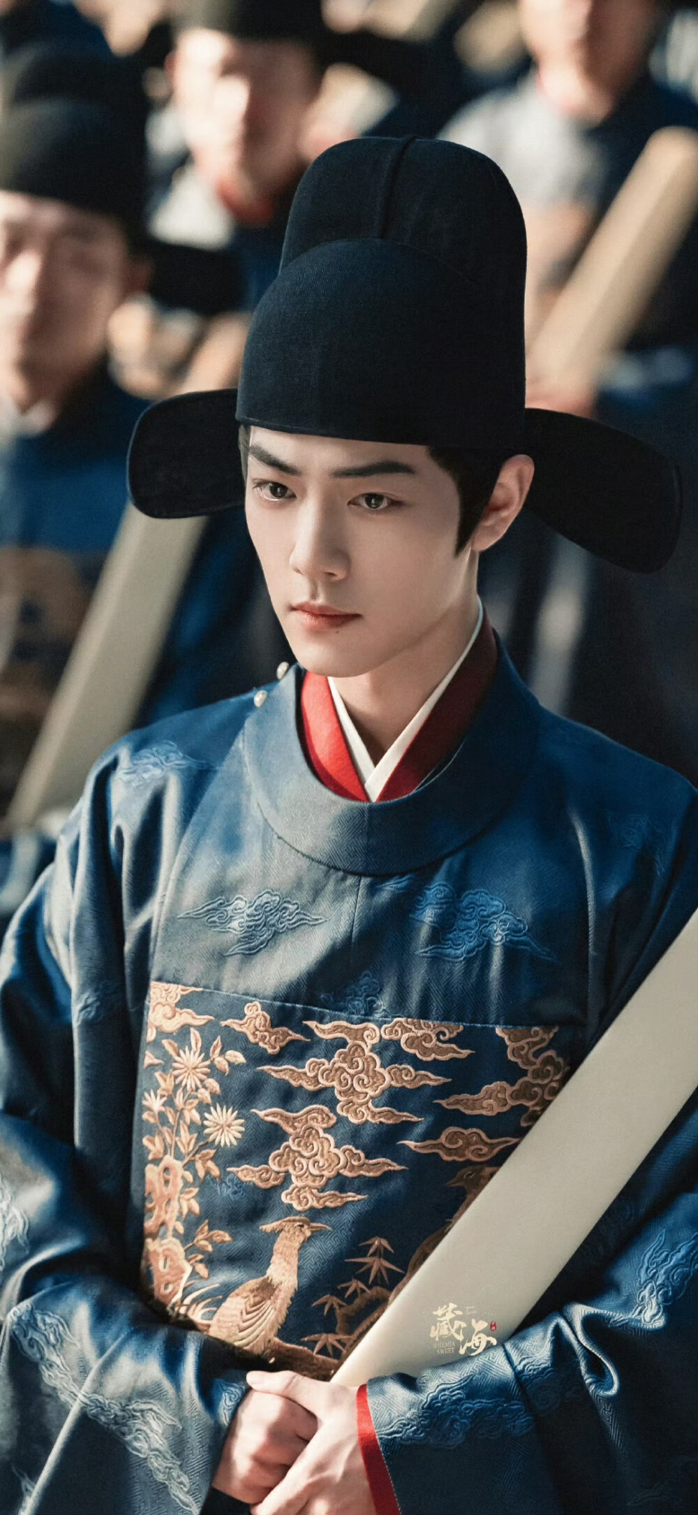 藏海