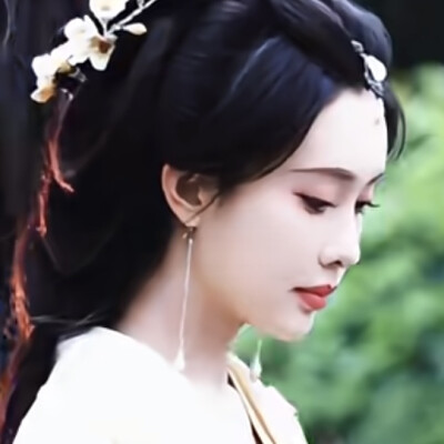 杏花雨