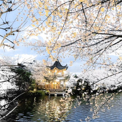 洛春赋/遥遥佳人入梦来