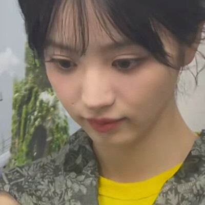猫猫