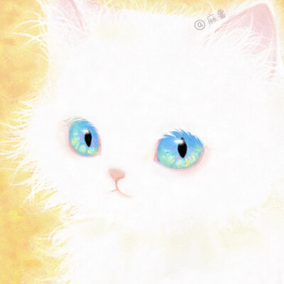 猫咪头像