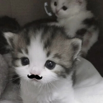 亿次方