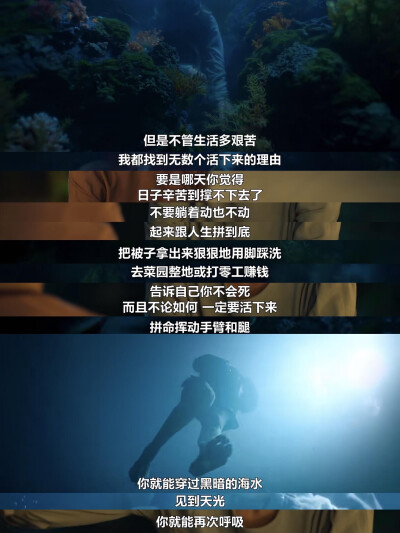 苦尽柑来遇见你