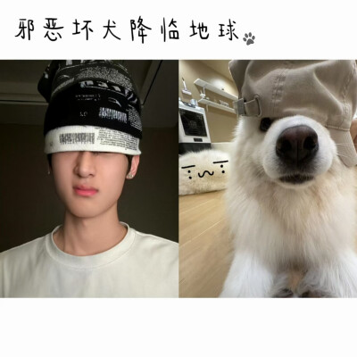 此地有恶犬出没