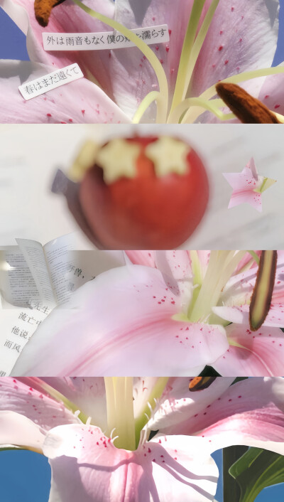 手机壁纸