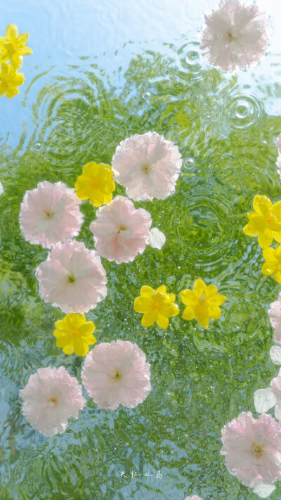 他