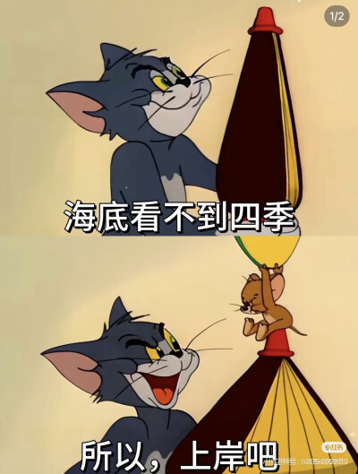 上岸～