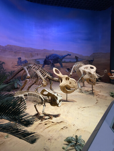 内蒙古旅游记录