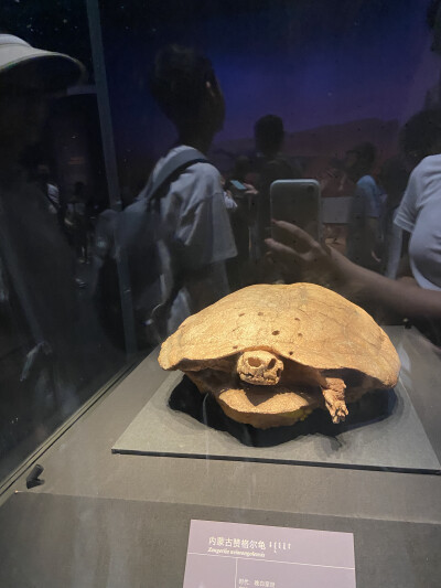 内蒙古旅游记录