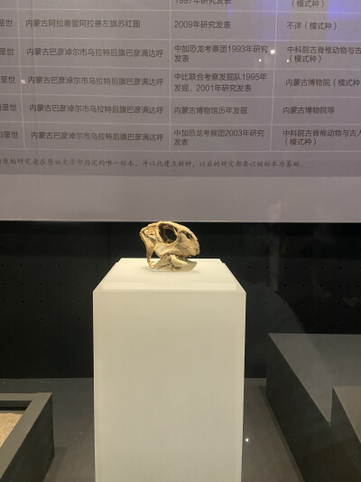 内蒙古旅游记录