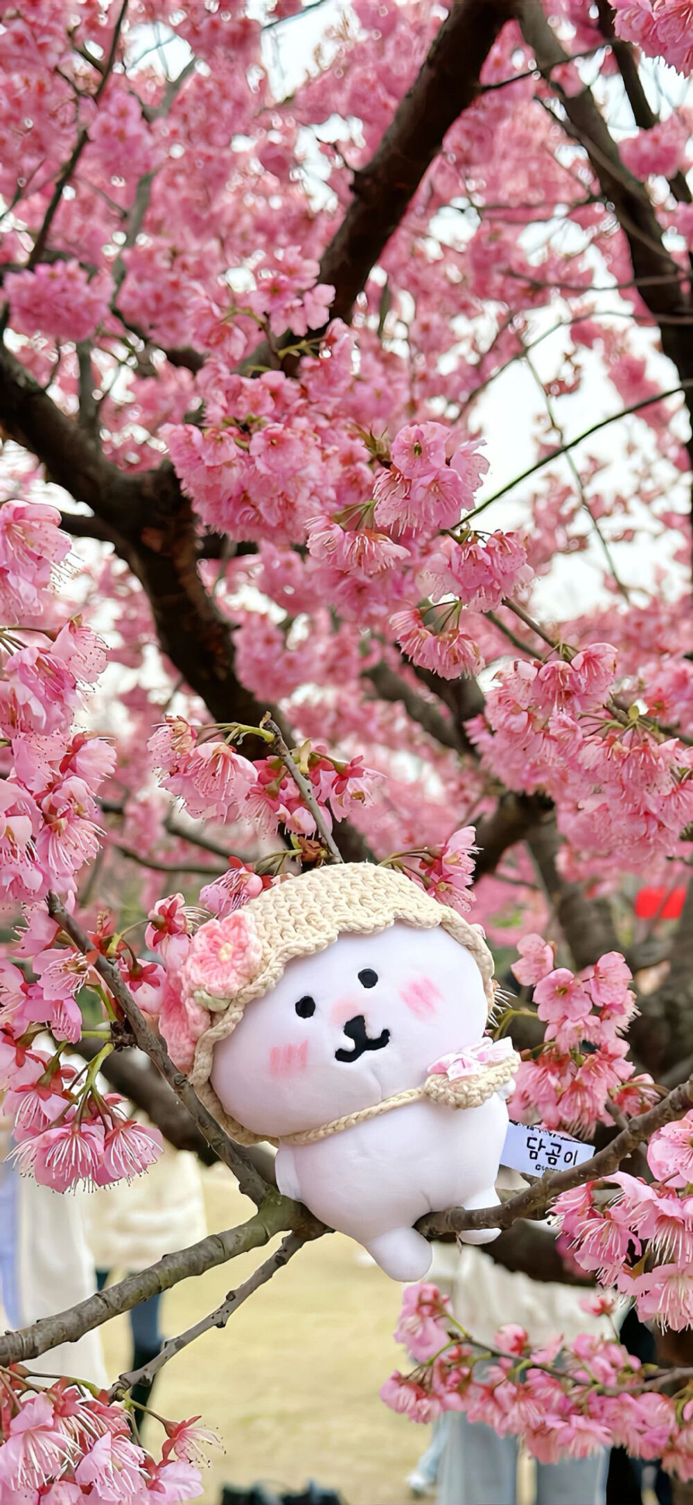 锁屏壁纸