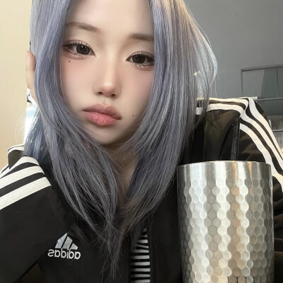 猫睡zZ了