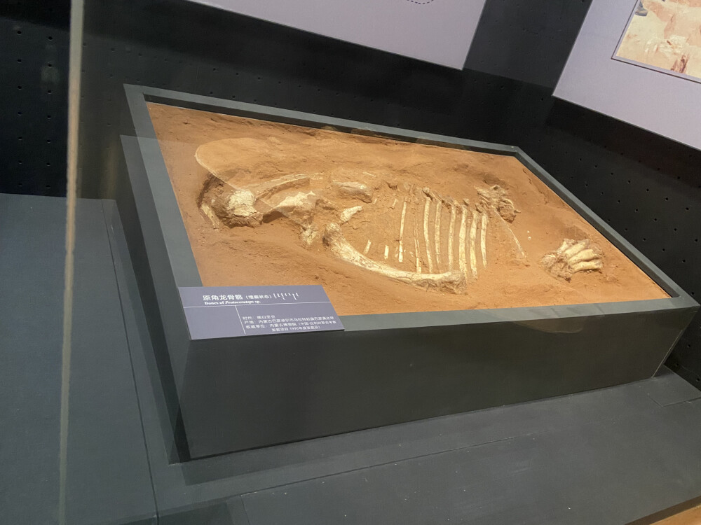 内蒙古旅游记录