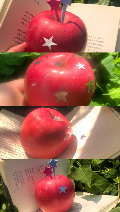 手机壁纸