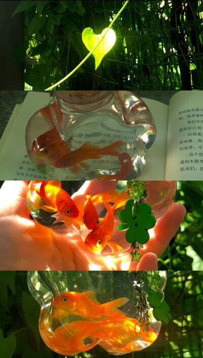 手机壁纸