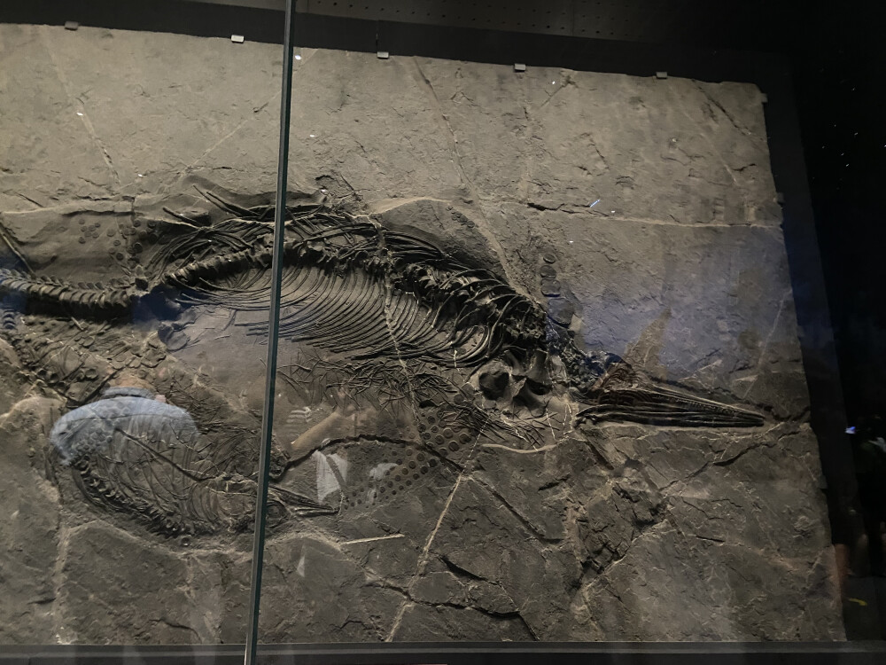 内蒙古旅游记录