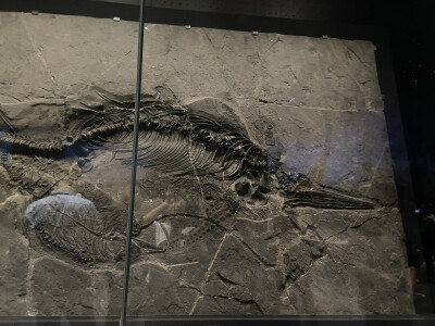 内蒙古旅游记录