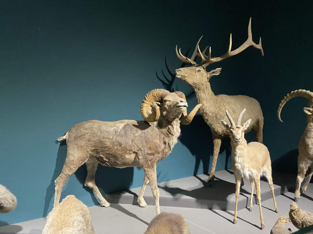 内蒙古旅游记录