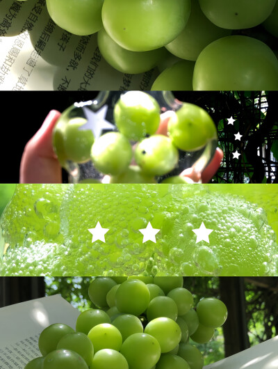 手机壁纸