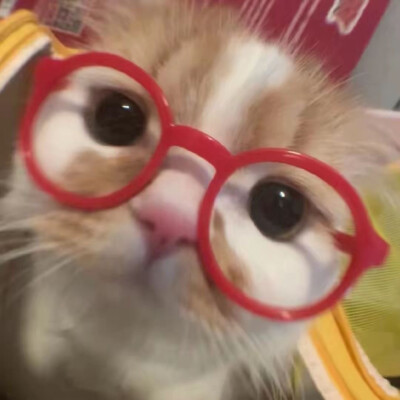 ʟsᴜɴɪᴄᴏʀɴ