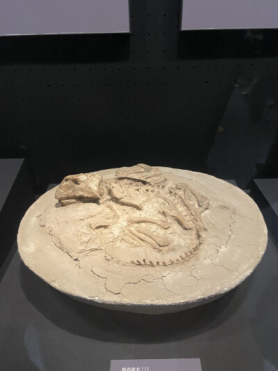 内蒙古旅游记录