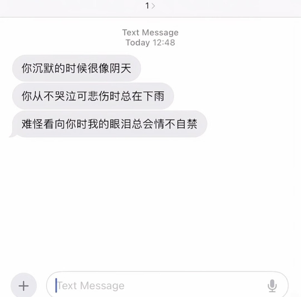 风格