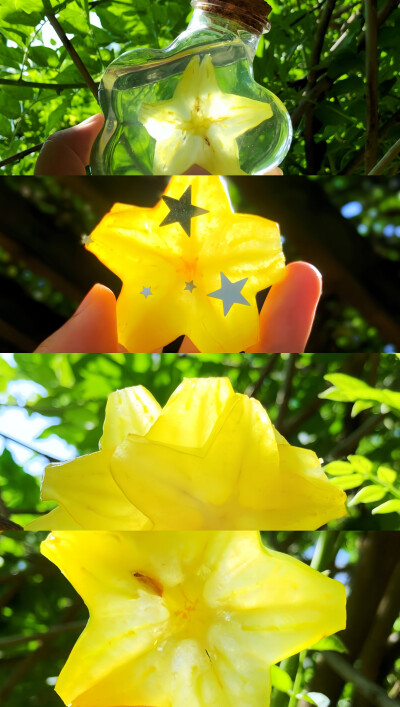 手机壁纸