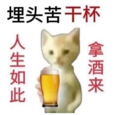 猫狗表情包