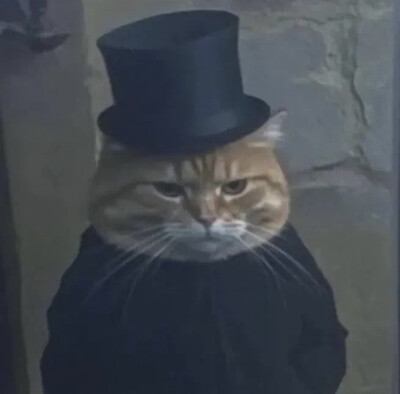 猫咪 头像