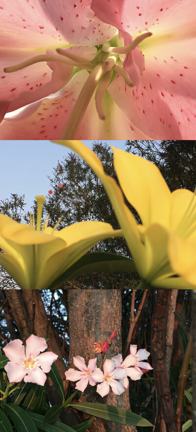 壁纸