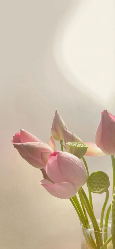 荷
