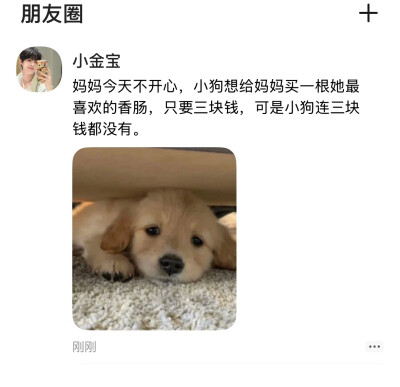 简介