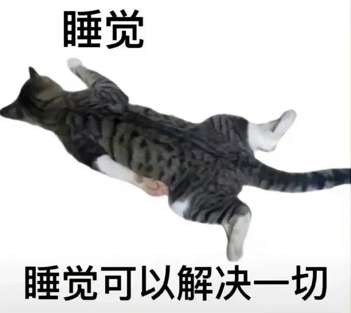 猫狗表情包
