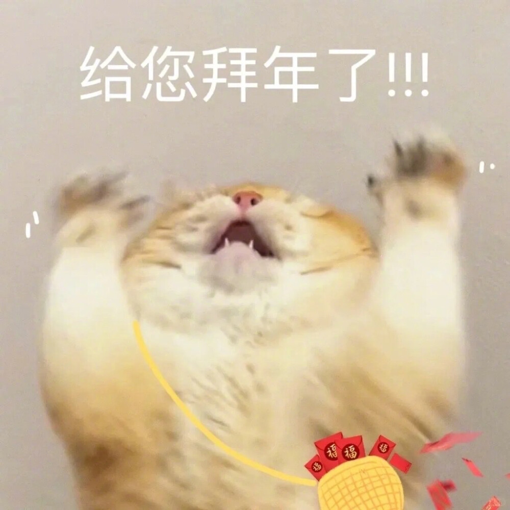 猫狗表情包