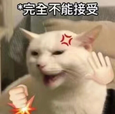 猫狗表情包