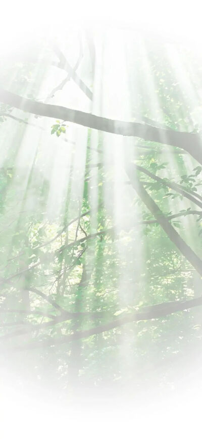 绿色系/壁纸