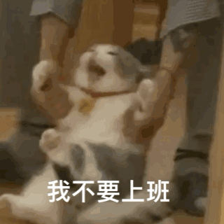 猫狗表情包