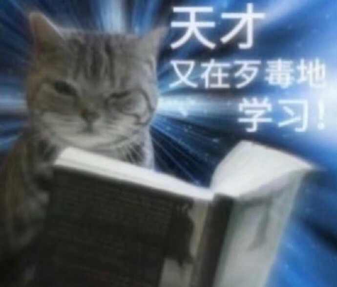 猫狗表情包