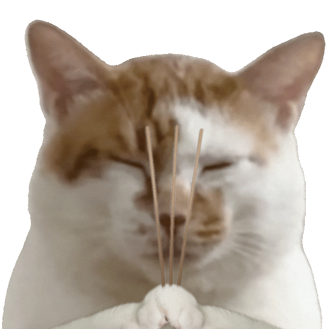 猫狗表情包