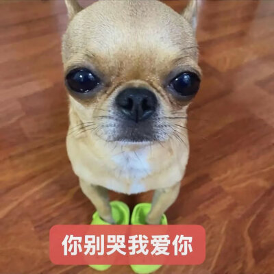 双人头像