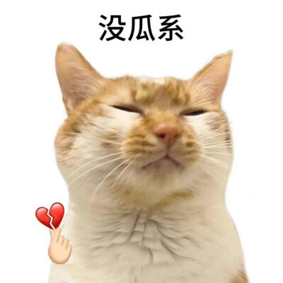 猫狗表情包