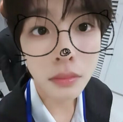 猫和老鼠