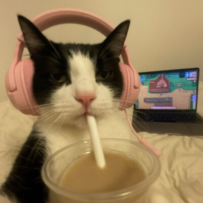 头像